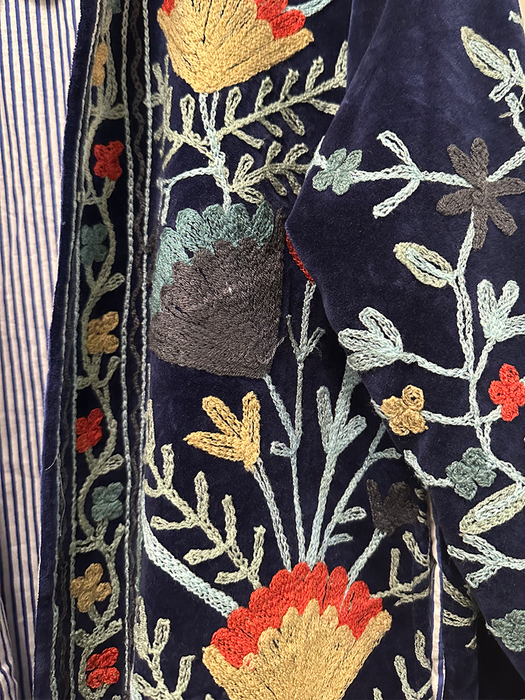 Anika Velvet Cotton Embroidered Jacket